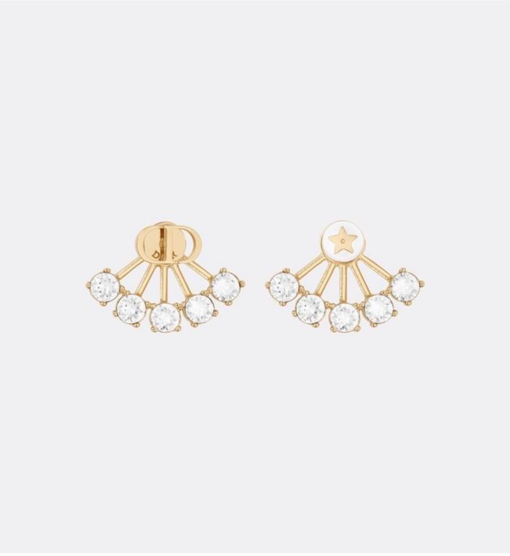 Dior Earring 04lyr289